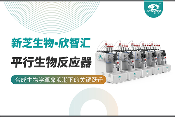 培養(yǎng)菌株和評估工藝參數(shù)影響太難太慢？平行生物反應(yīng)器提供關(guān)鍵解決方案！