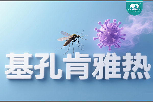 基孔肯雅熱疫情升級！新芝生物硬核技術(shù)助力病毒精準(zhǔn)診斷