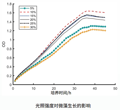 微藻在位培養(yǎng)檢測(cè)