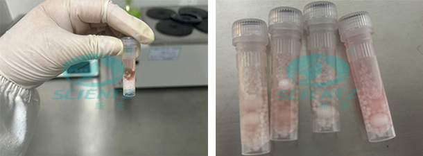 實(shí)驗(yàn)前后對(duì)比圖